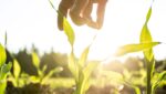 7 KEY QUESTIONS TO ASK A POTENTIAL AG LENDER 3 Ag Lender Farm Loans