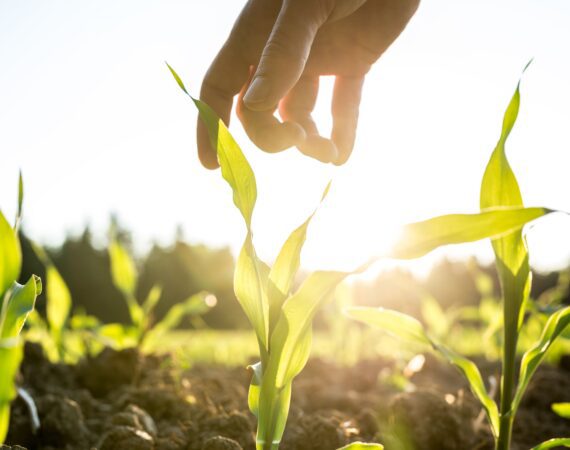 7 KEY QUESTIONS TO ASK A POTENTIAL AG LENDER 4 Ag Lender Farm Loans