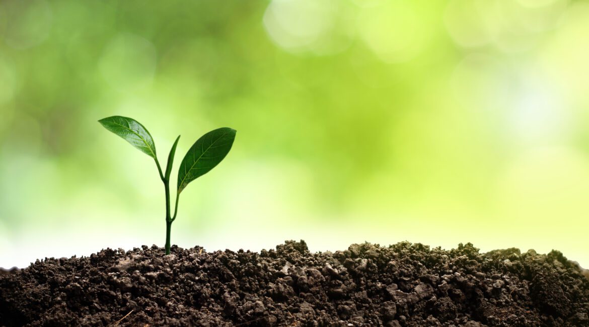 MAXIMIZING GROWTH AND EXPANSION: A SIMPLE GUIDE TO AG FINANCING 1 Ag Financing
