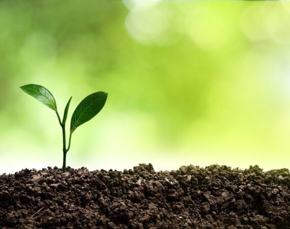 MAXIMIZING GROWTH AND EXPANSION: A SIMPLE GUIDE TO AG FINANCING 1 Ag Financing