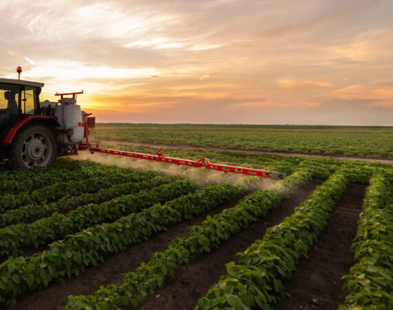 5 TIPS WHEN APPLYING FOR A CROP OPERATING LOAN 2 Crop Operating Loan Annual Farm Financing