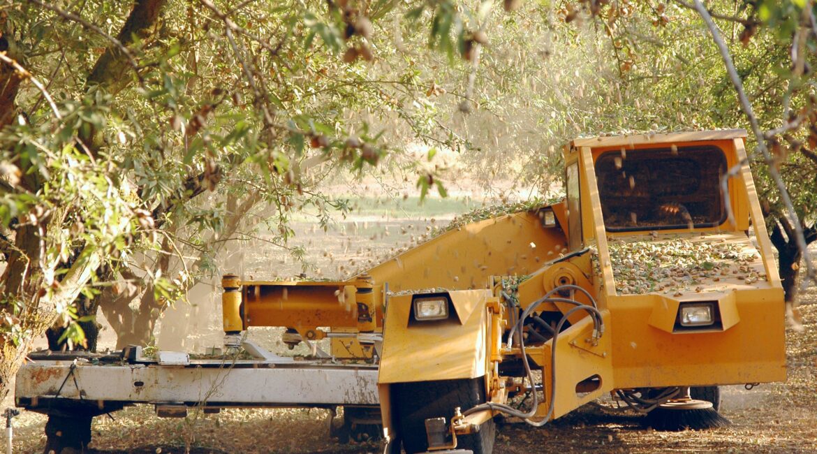 Maximize Long-Term Planning During Harvest 1 Planning During Harvest