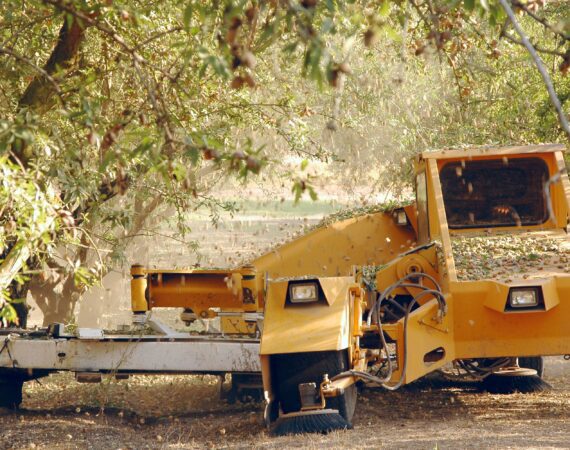 Maximize Long-Term Planning During Harvest 1 Planning During Harvest