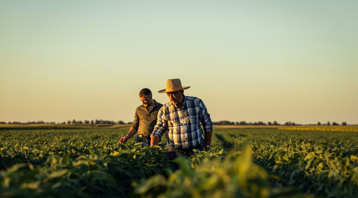 EMPOWER YOUR FARM'S FUTURE WITH SUCCESSION PLANNING 1 Succession Planning for the Next Generation
