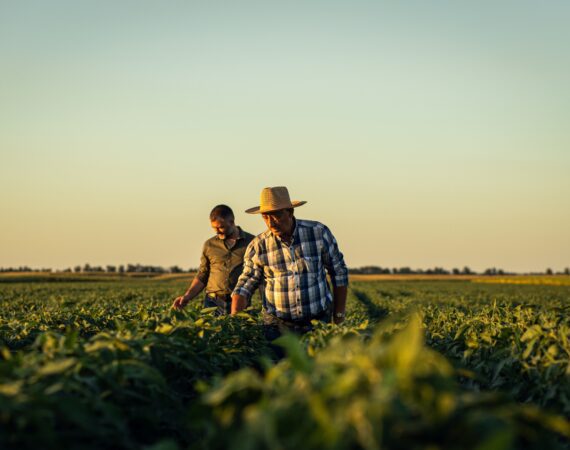 Succession Planning for the Next Generation