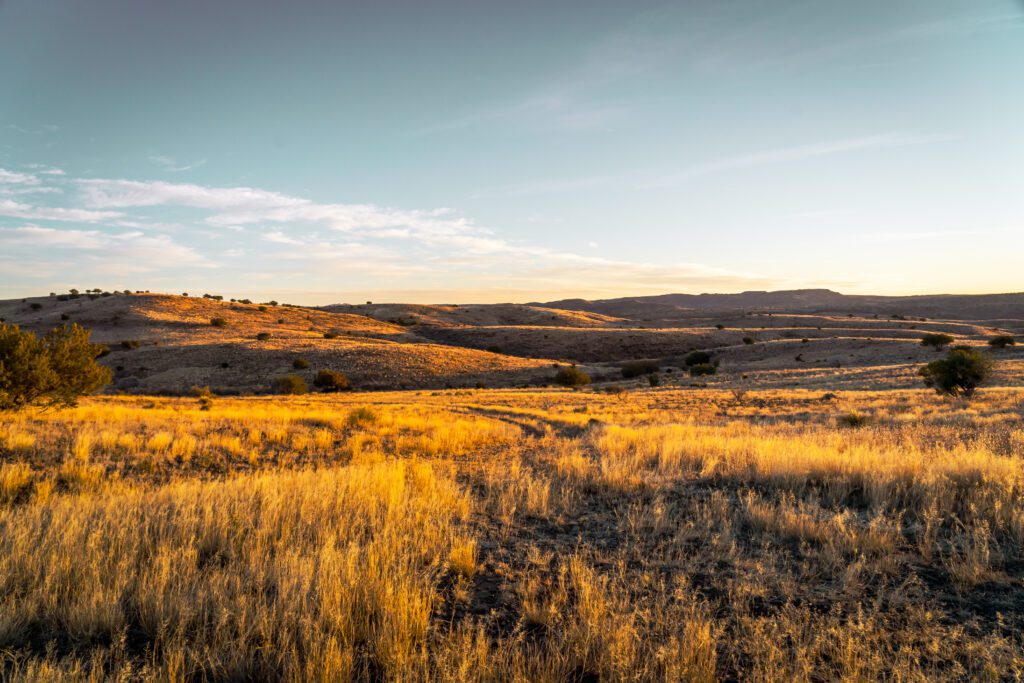 Financial Statements Across Farming Operations