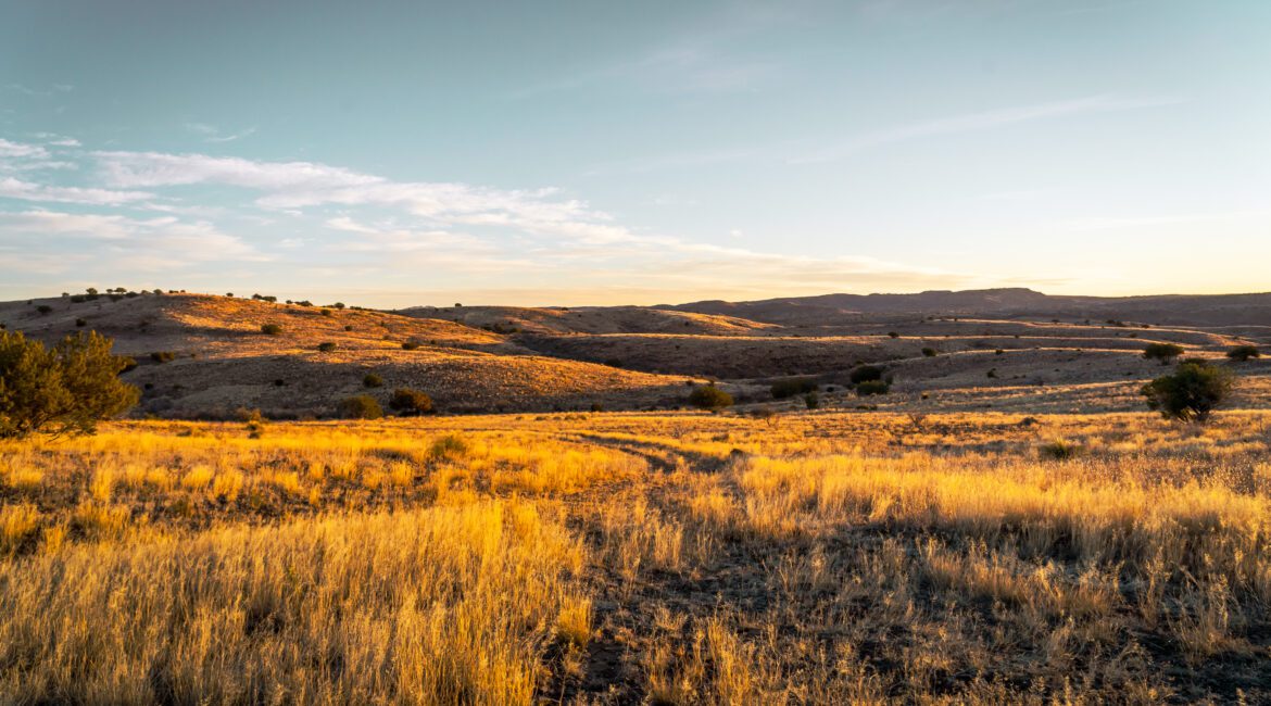 ONE SIZE DOESN'T FIT ALL: NAVIGATING FINANCIAL STATEMENTS IN AGRICULTURE 1 Financial Statements Across Farming Operations