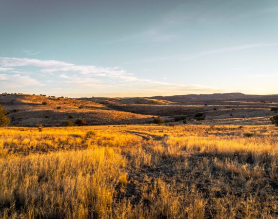 ONE SIZE DOESN'T FIT ALL: NAVIGATING FINANCIAL STATEMENTS IN AGRICULTURE 2 Financial Statements Across Farming Operations