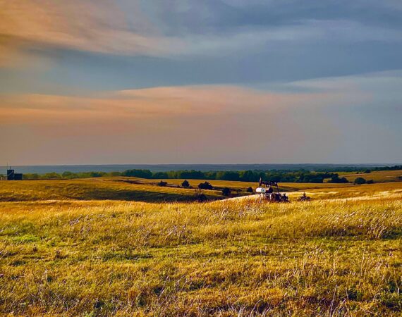 Farm Optimism Amidst Turbulent Economic Conditions