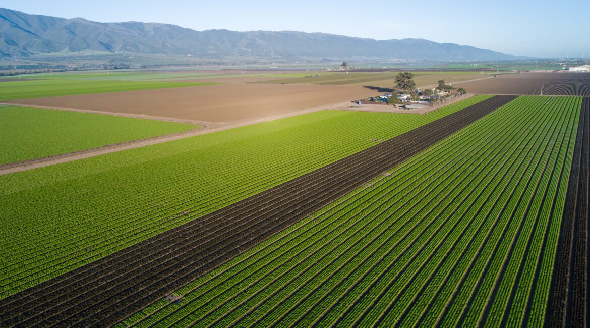 SEIZE OPPORTUNITIES FOR SUCCESS: 9 KEYS TO FARM LOAN REFINANCING 1 Farm Loan Refinancing California Agriculture