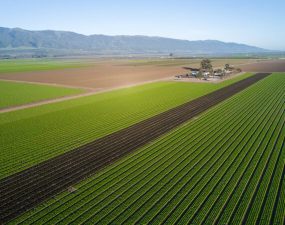 Farm Loan Refinancing California Agriculture