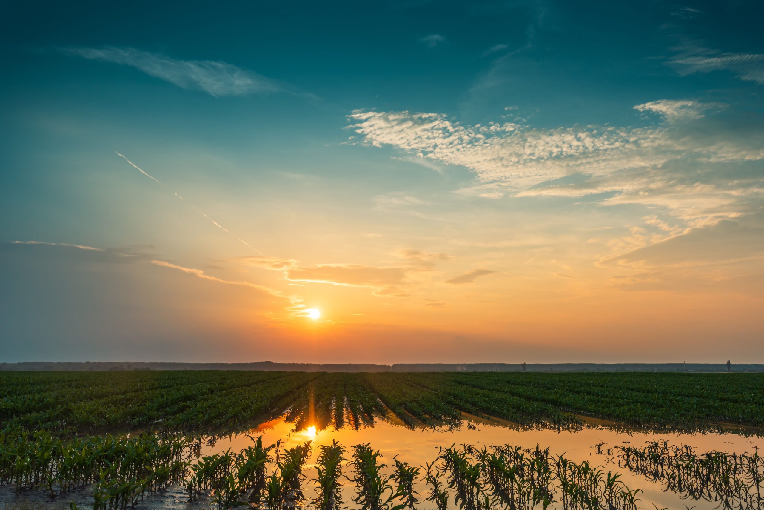 AFTER THE FLOOD: SECURE FLEXIBLE RURAL CAPITAL 1 How Ag Lenders Support Flood-Impacted Farmers