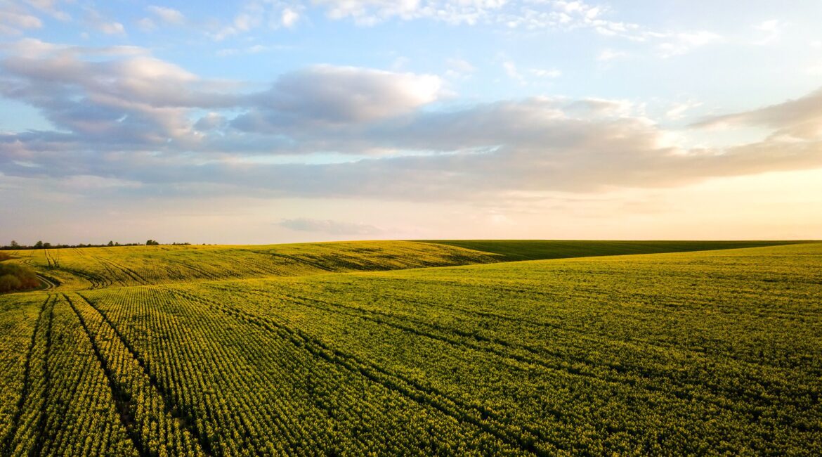 TOP REASONS WHY YOU NEED A LAND APPRAISAL 1 Land Farmland Appraisals