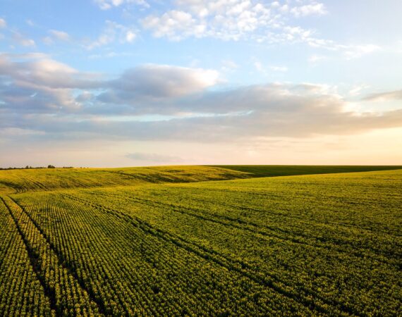 TOP REASONS WHY YOU NEED A LAND APPRAISAL 2 Land Farmland Appraisals