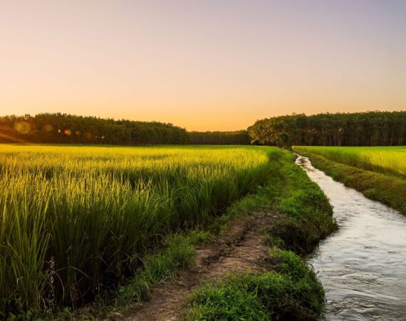 Delta Agriculture Solutions