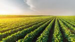 TOP 8 TIPS FOR SECURING A FARM LOAN 9 Securing Farm Loans