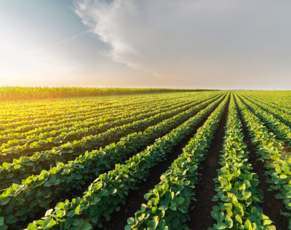 Securing Farm Loans