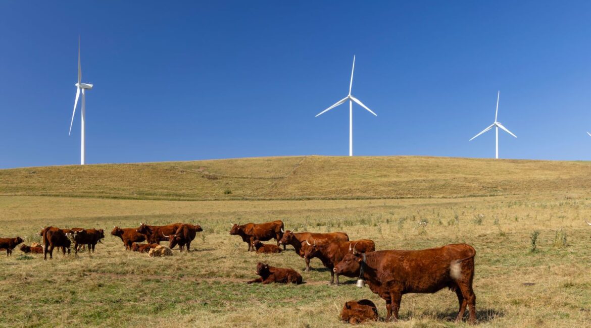 HOW FARMLAND EASEMENTS IMPACT YOUR AG LOAN 1 Farmland Easements