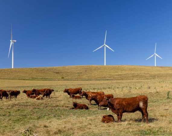 HOW FARMLAND EASEMENTS IMPACT YOUR AG LOAN 1 Farmland Easements