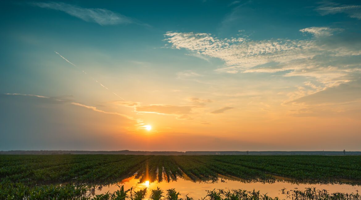 Hurricane Recovery: Loans for Farmers 1 Hurricane Recovery for Farmers