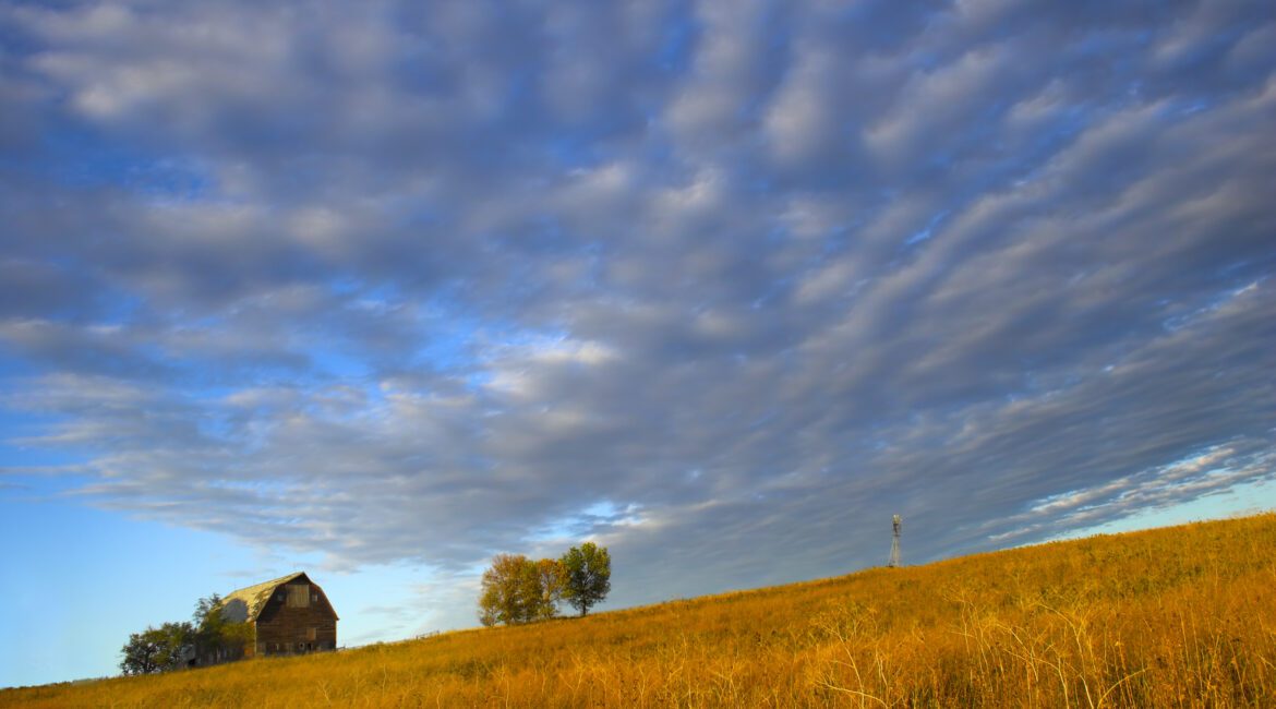 4 Key Reasons to Stress Test Your Farm 1 Stress Testing Your Farm Operation