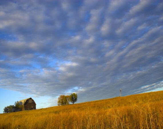 4 Key Reasons to Stress Test Your Farm 3 Stress Testing Your Farm Operation