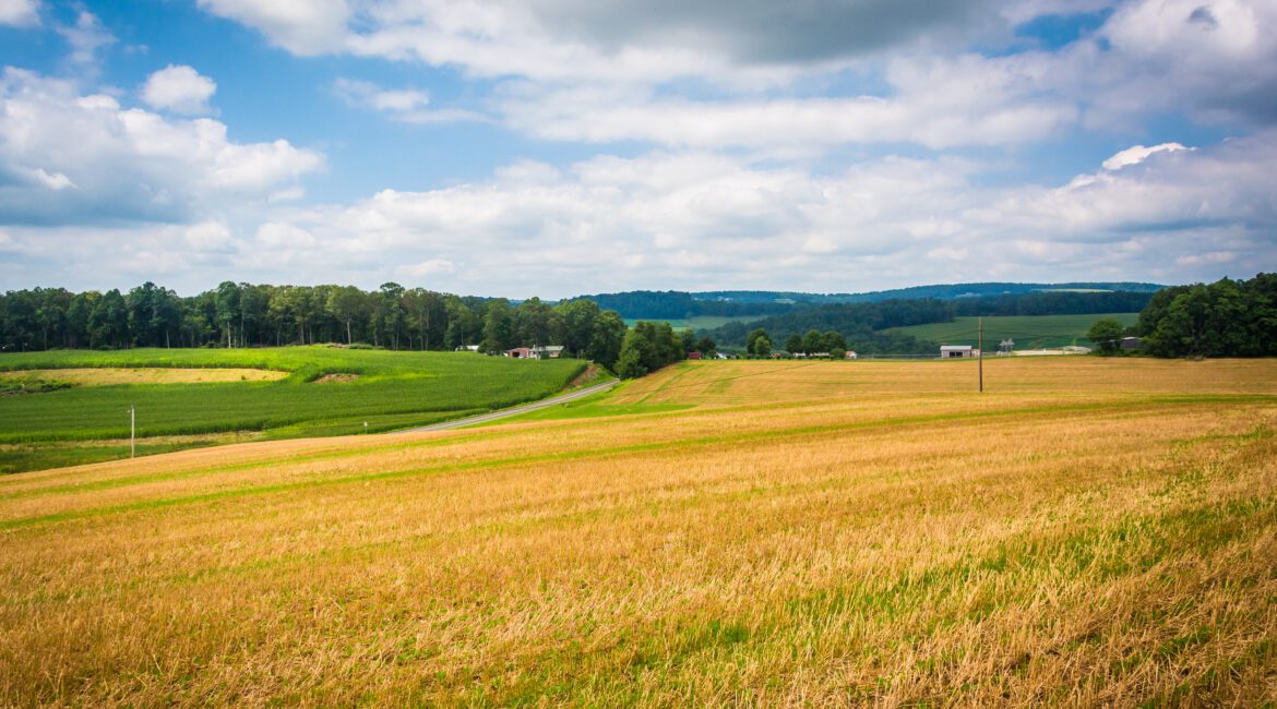 Stress Testing Your Farm: 4 Essential Steps 1 Stress Testing your Farm