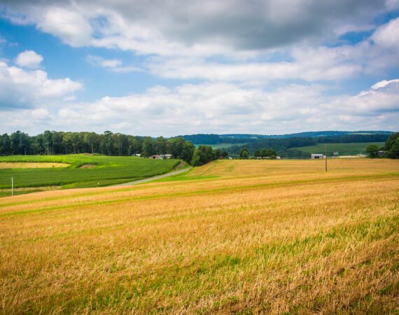 Stress Testing Your Farm: 4 Essential Steps 2 Stress Testing your Farm