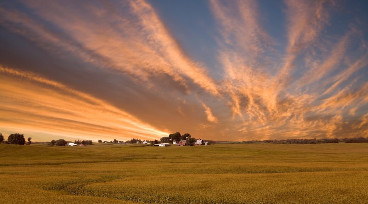 ALTERNATIVE LENDING: A PATH TO LONG-TERM STABILITY 1 Alternative Lending for Agriculture