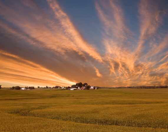 ALTERNATIVE LENDING: A PATH TO LONG-TERM STABILITY 2 Alternative Lending for Agriculture