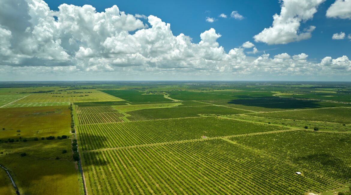 Farm Land used as Cross-Collateral in Ag Loans