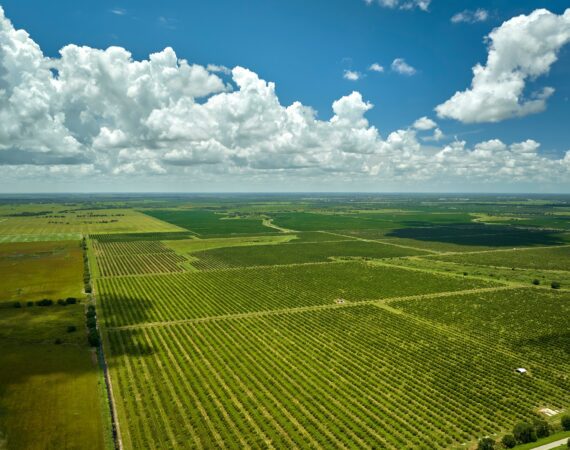 Farm Land used as Cross-Collateral in Ag Loans