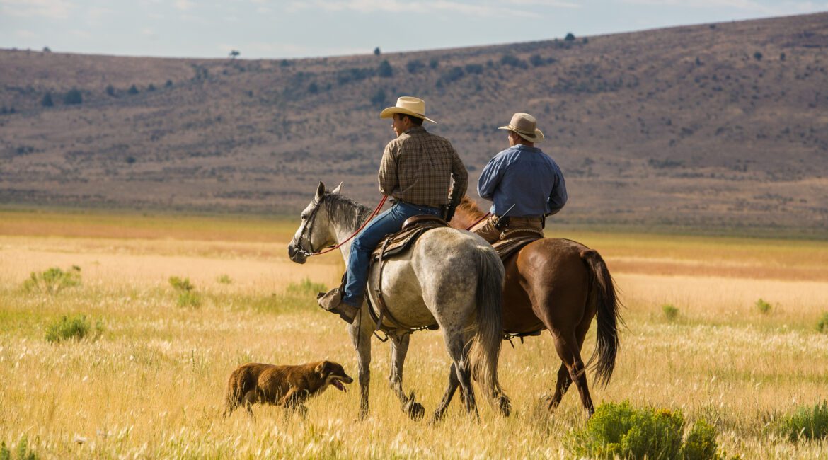 Planning for the Future: A Practical Guide to Farm Succession 1 Succesion Planning Passing down the Farm