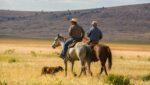 Planning for the Future: A Practical Guide to Farm Succession 5 Succesion Planning Passing down the Farm