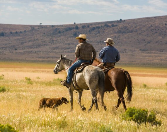 Planning for the Future: A Practical Guide to Farm Succession 6 Succesion Planning Passing down the Farm