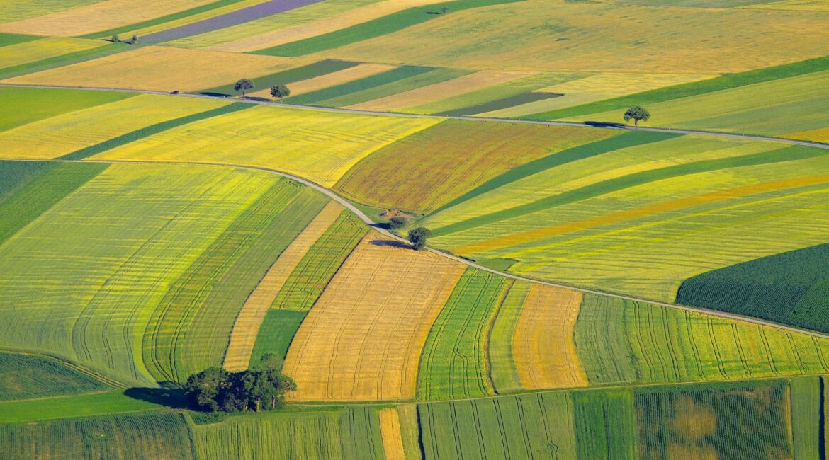 Land as Leverage: How to Use Farmland to Finance Your Growth 1 Using Farmland as Collateral Financing Farm Loans