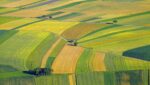 Land as Leverage: How to Use Farmland to Finance Your Growth 7 Using Farmland as Collateral Financing Farm Loans