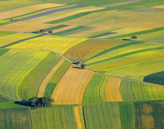 Land as Leverage: How to Use Farmland to Finance Your Growth 2 Using Farmland as Collateral Financing Farm Loans