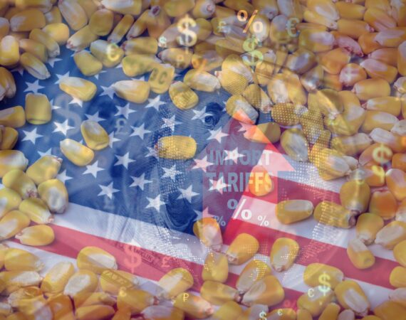 Tariff Tensions in Agriculture: What Happens if the U.S. Wins? 3 tariff strategy American farmers agricultural