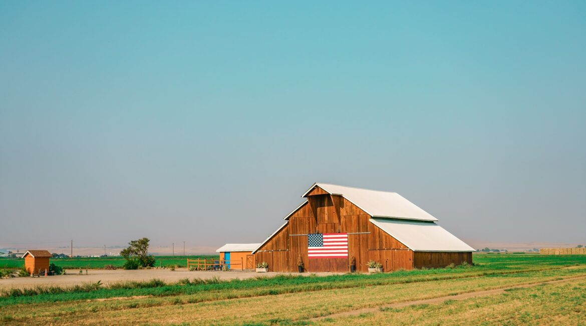 Optimizing Farm Debt During Inflation 1 Farm Debt Strategies During Inflation