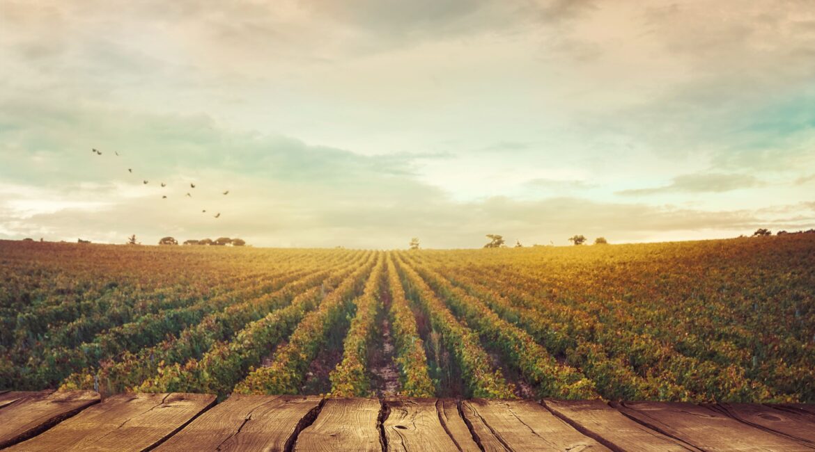 Managing Farm Debt in an Inflation Economy 1 Inflation Proof your Farm Debt