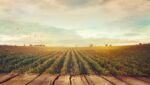 Managing Farm Debt in an Inflation Economy 10 Inflation Proof your Farm Debt