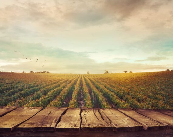 Managing Farm Debt in an Inflation Economy 9 Inflation Proof your Farm Debt