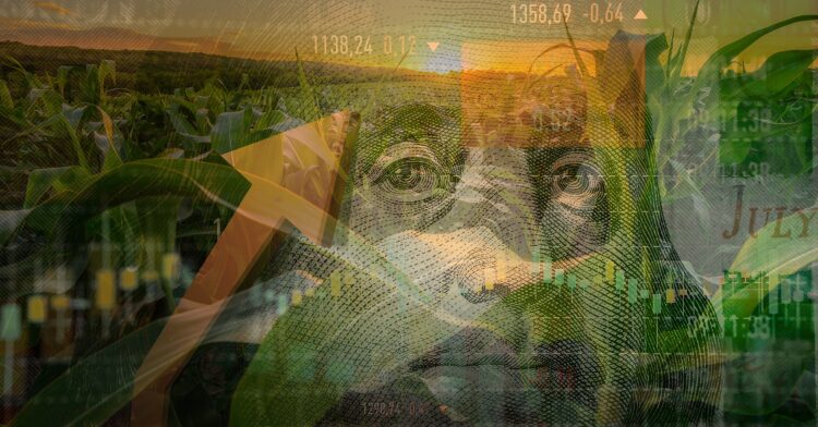 2026 Ag Outlook: Land, Lending, and the New Crop Cycle 1 2026 Ag Outlook Farmland Ag Loans