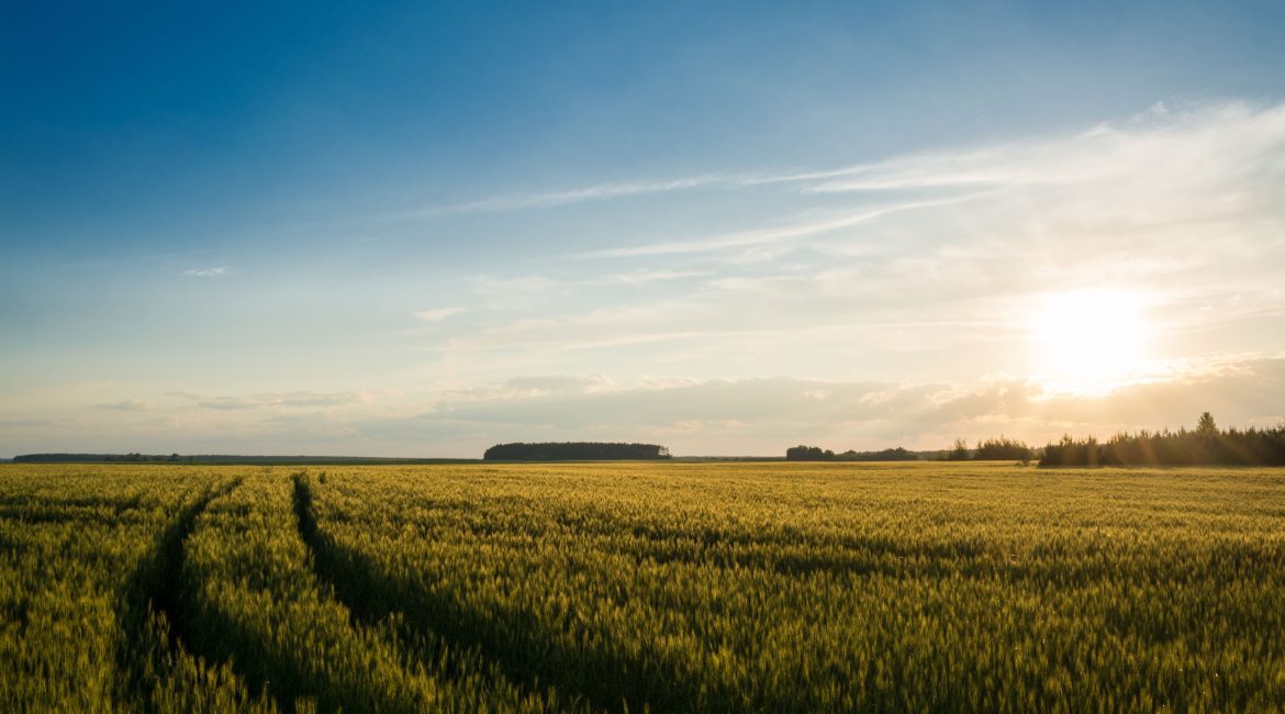 When a Farm Loan Doesn't Fit, Alternative Lending Steps In 1 alternative lending agriculture farm loans