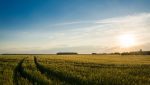 When a Farm Loan Doesn't Fit, Alternative Lending Steps In 5 alternative lending agriculture farm loans