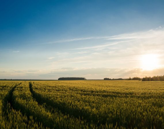 When a Farm Loan Doesn't Fit, Alternative Lending Steps In 5 alternative lending agriculture farm loans