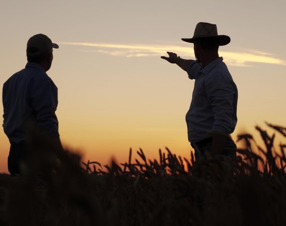 Succession Planning for Farmers: The Questions That Actually Matter 4 Succession Planning Farmer Families