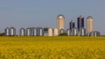 When Agricultural Leasing Makes More Sense Than a Farm Loan 3 agricultural leasing grain storage farm loan ag lease