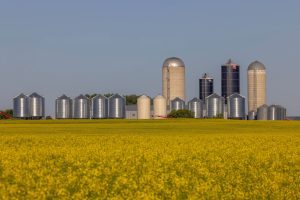 agricultural leasing grain storage farm loan ag lease
